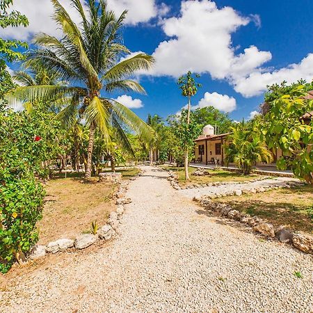 Posada Palmar Bacalar Ngoại thất bức ảnh